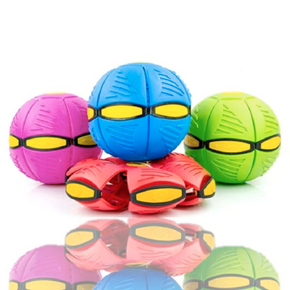 PetBall Bola Voadora para Pets