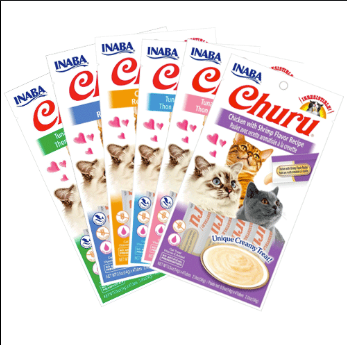 Churu