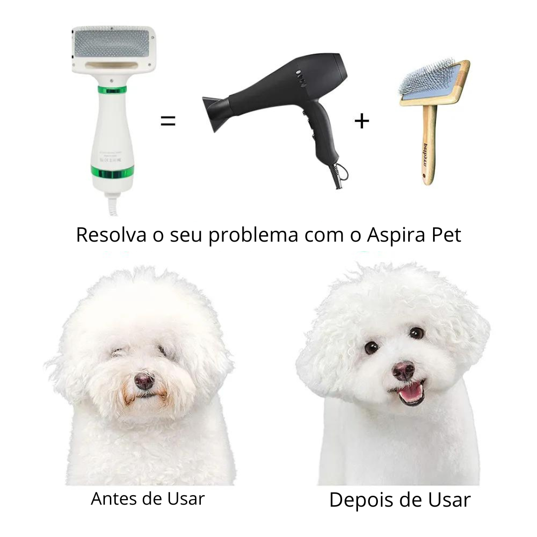 Secador Caminho Pet