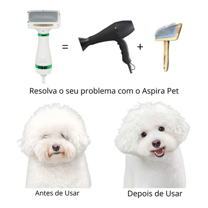 Secador Caminho Pet