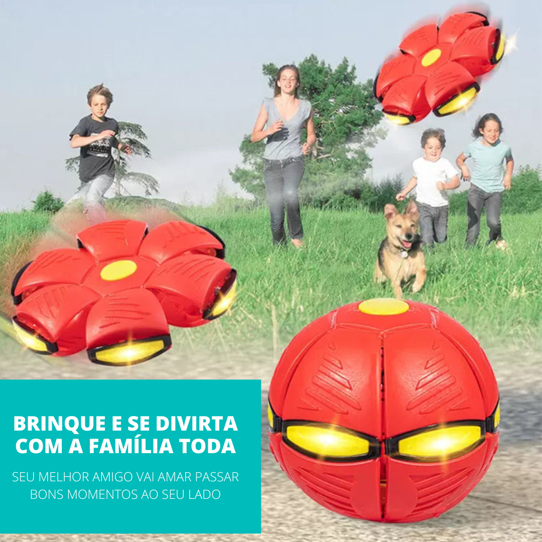 PetBall Bola Voadora para Pets
