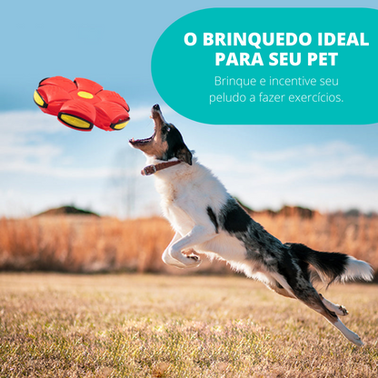 PetBall Bola Voadora para Pets