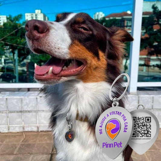 Finder Pet - Saiba em tempo Real onde seu Pet está